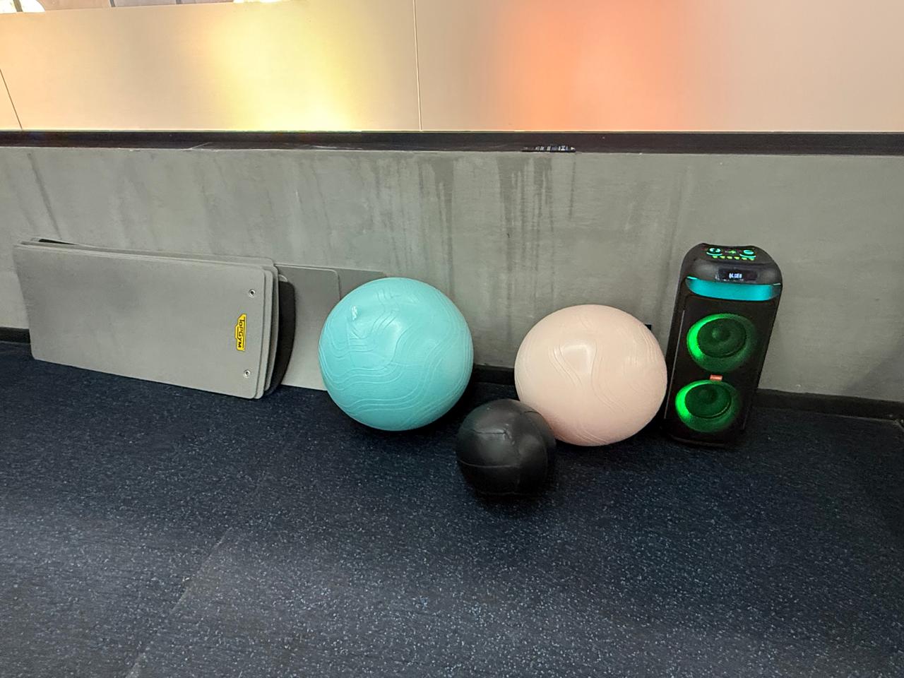 Ladies Zone Gymaholic Plus